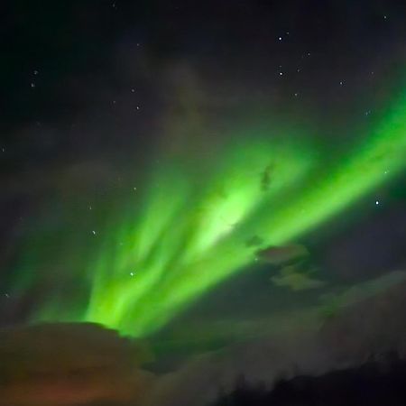 Lund - Exellent Apartment Tromsø Eksteriør bilde